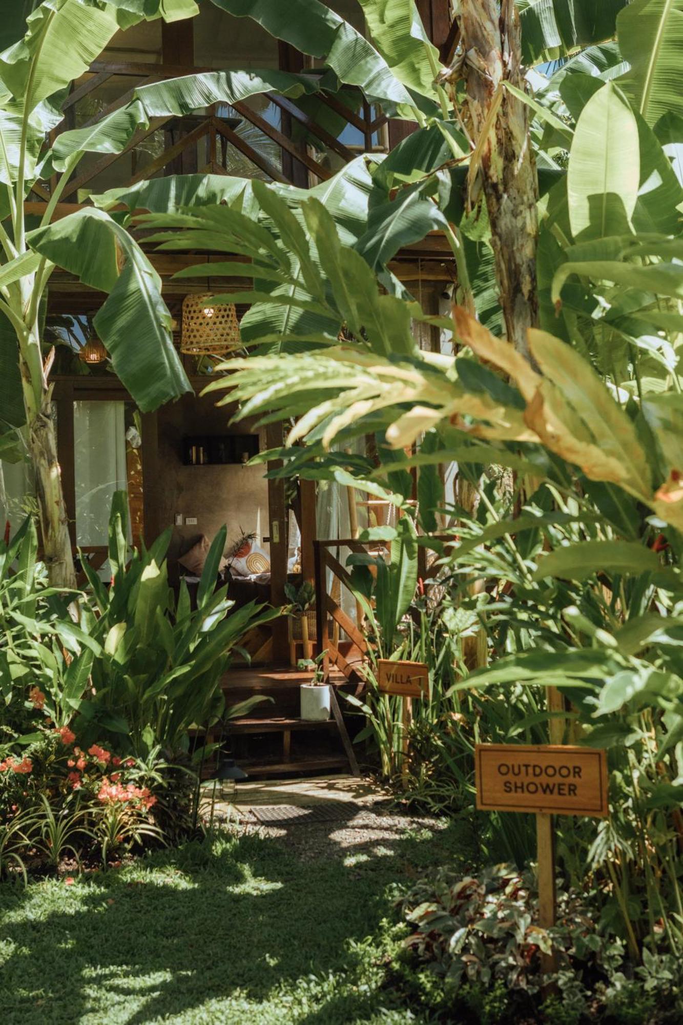Mango Tango Siargao *